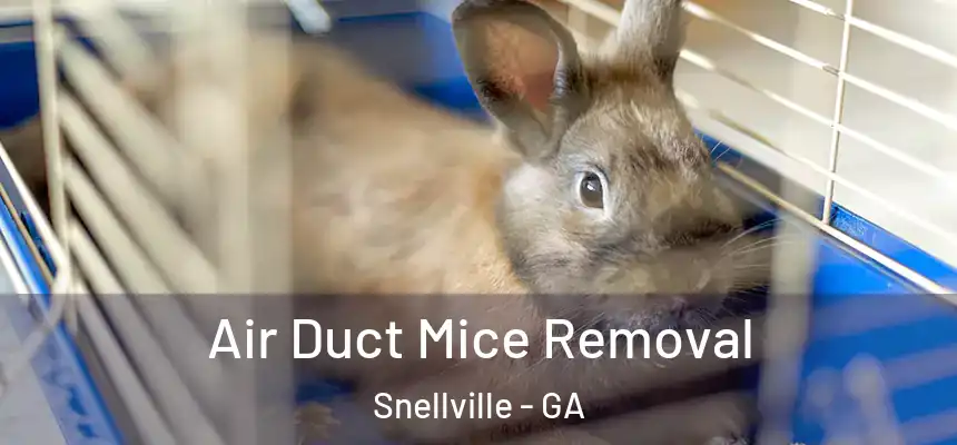  Air Duct Mice Removal Snellville - GA