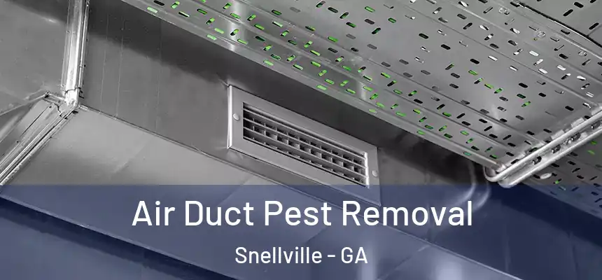  Air Duct Pest Removal Snellville - GA