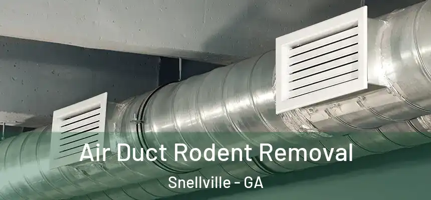  Air Duct Rodent Removal Snellville - GA