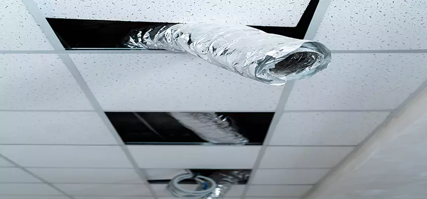 Affordable HVAC Sanitizing After Pest Removal in Snellville