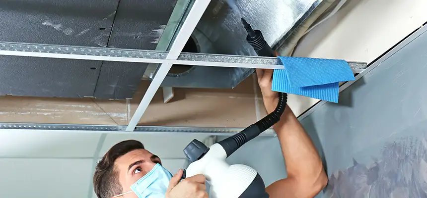 Our Air Duct Rodent Removal Services in Snellville, GA