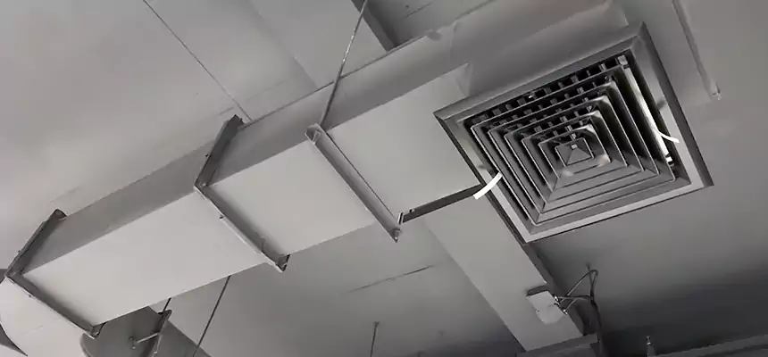 Restorative Allergy Relief Vent Cleaning – Coil, Blower & Housing Detail in Snellville