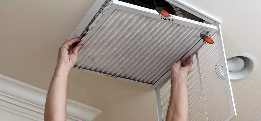 Our Insect Removal from Air Ducts Services in Snellville, GA
