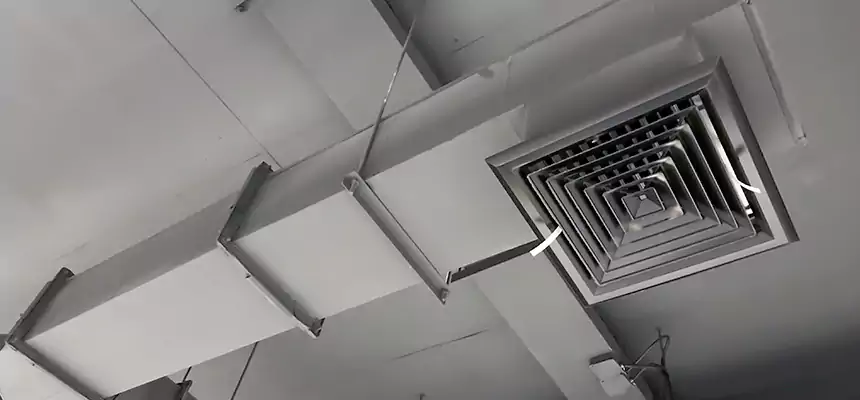 Our Rodent Droppings In Vents Services in Snellville, GA