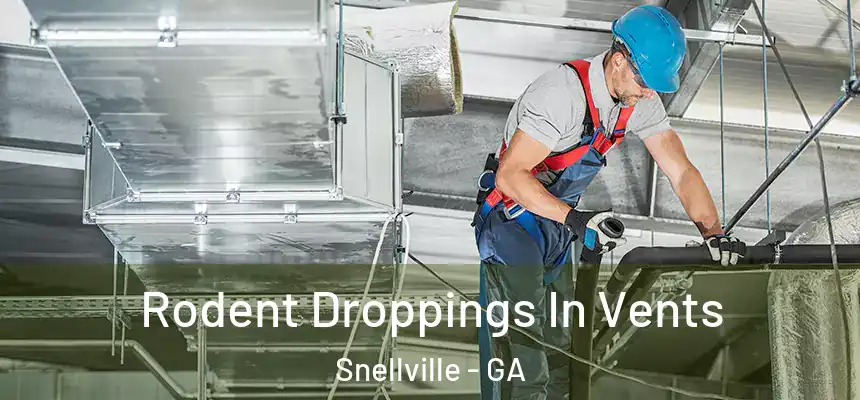  Rodent Droppings In Vents Snellville - GA