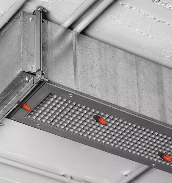 About Air Duct Cockroach Removal in Snellville, GA