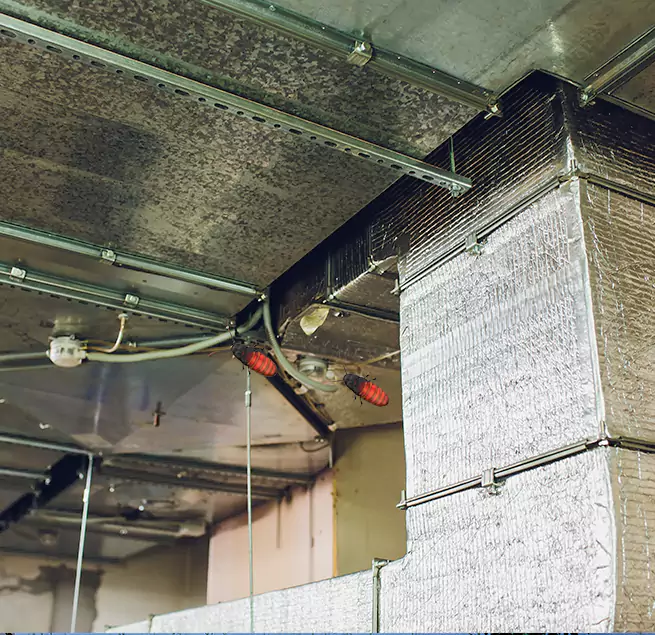 Why Homeowners & Businesses Trust Us in Snellville, GA?